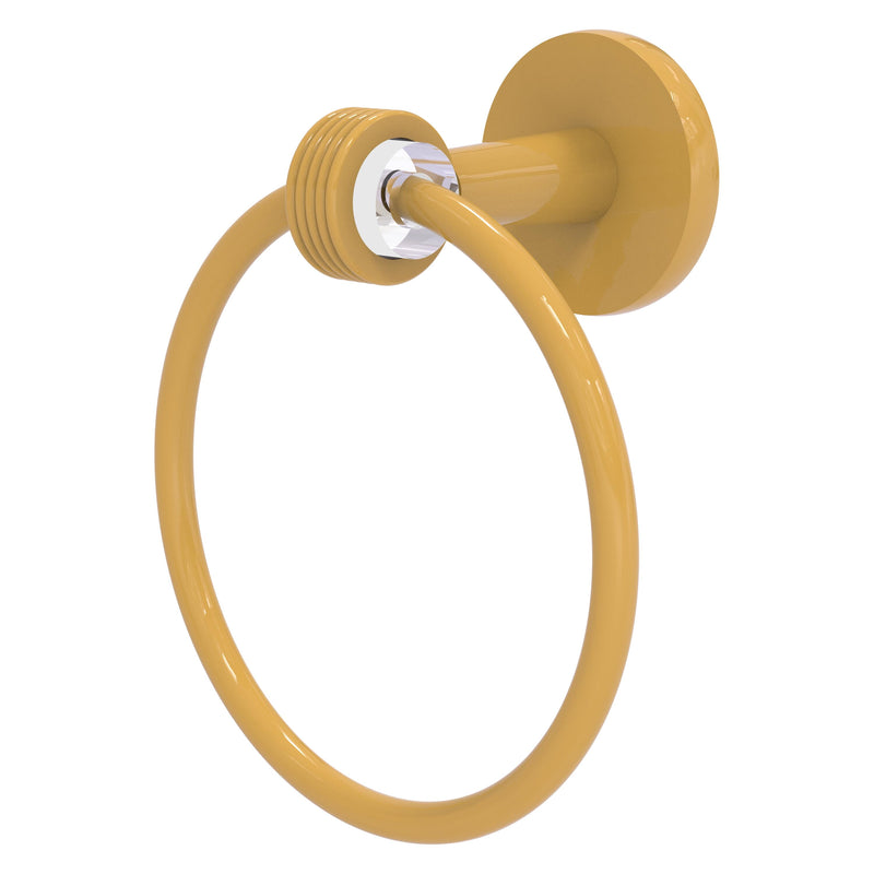 Clearview Towel Ring